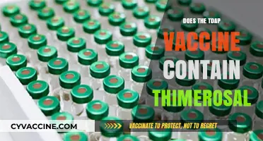 Does the Tdap Vaccine Contain Thimerosal? Facts and Safety Explained