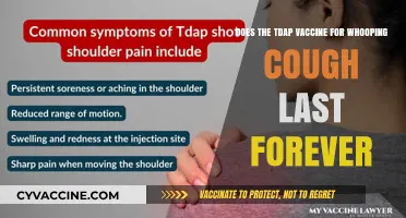 Tdap Vaccine: Long-Lasting Protection Against Whooping Cough?