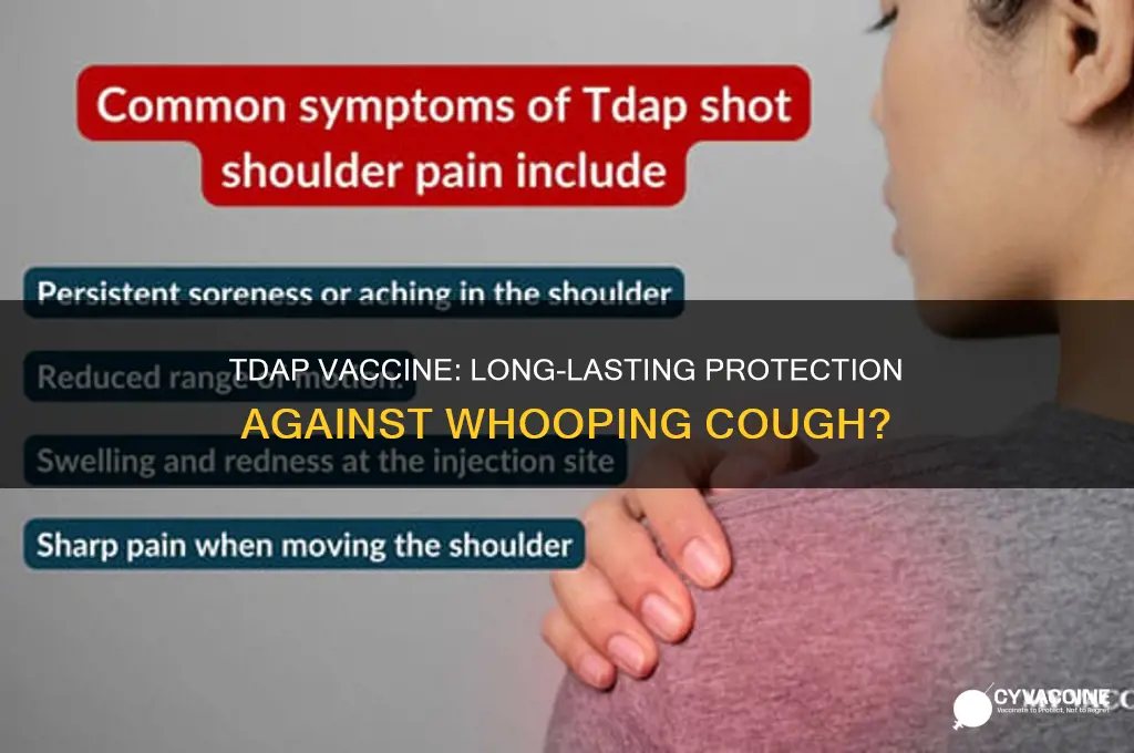does the tdap vaccine for whooping cough last forever