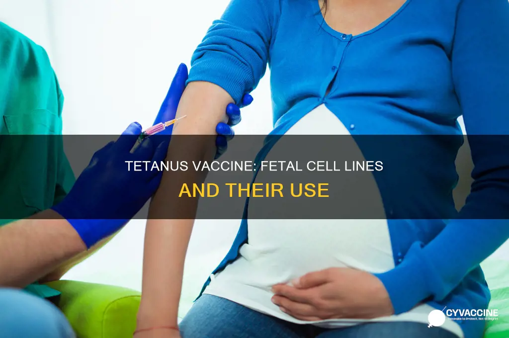 does the tetanus vaccine contain fetal cell lines