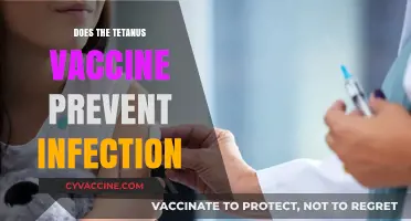 Tetanus Vaccine: Does It Truly Prevent Infection and How?