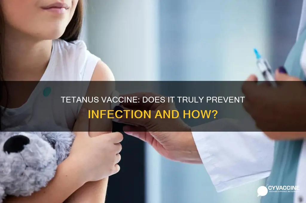 does the tetanus vaccine prevent infection