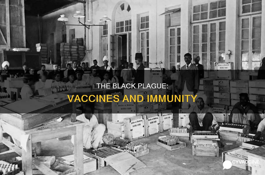 does the the black plague have a vaccine