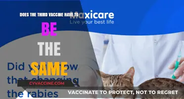 Vaccine Choice: Can I Mix and Match?