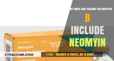 Hepatitis B Vaccine: Does It Include Neomycin?