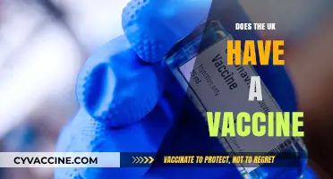 UK's COVID-19 Vaccine Rollout: Progress, Availability, and Public Health Impact