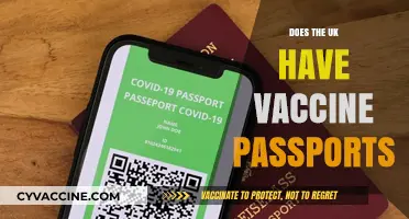Do UK Vaccine Passports Exist? Exploring COVID-19 Travel Requirements