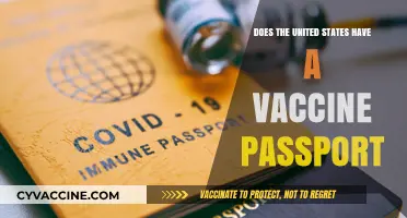 Vaccine Passports: US Plans and Privacy Concerns