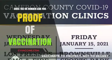Travelers: Prove Vaccination Status When Crossing US Borders