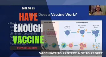 US Vaccine Supply: Meeting Demand or Facing Shortages?