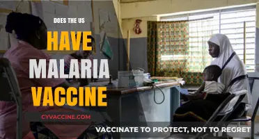 Does the US Have a Malaria Vaccine? What You Need to Know