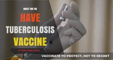 Does the US Offer a Tuberculosis Vaccine? Facts and Insights