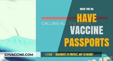 Do US Vaccine Passports Exist? Exploring Domestic Travel Requirements