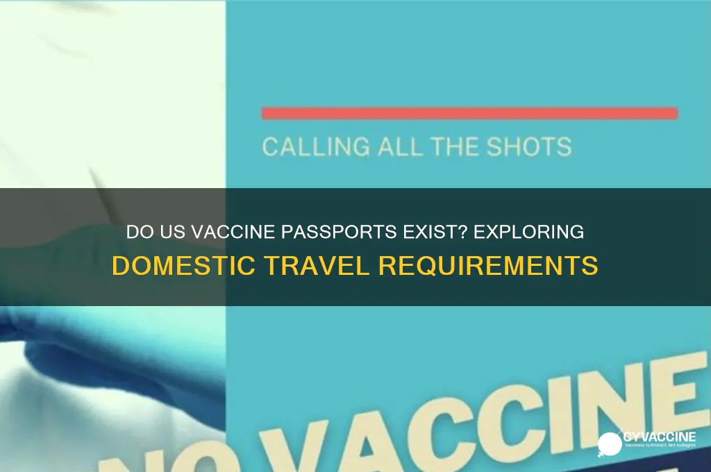 does the us have vaccine passports