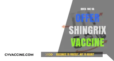 VA Shingrix Vaccine Availability: What Veterans Need to Know