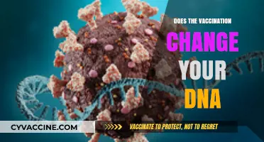 Vaccination and DNA: Debunking Myths About Genetic Alteration