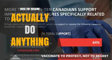 Vaccine Efficacy: Separating Fact from Fiction in Health Protection