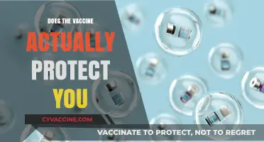 Vaccine Protection: Separating Fact from Fiction for Your Health