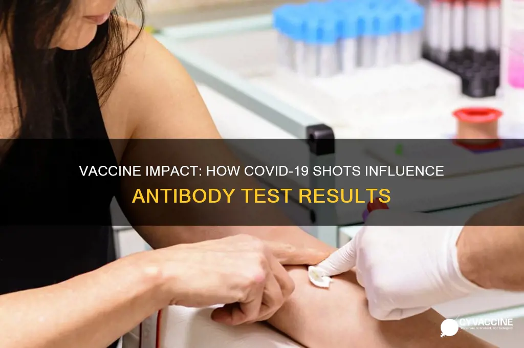 does the vaccine affect antibody test