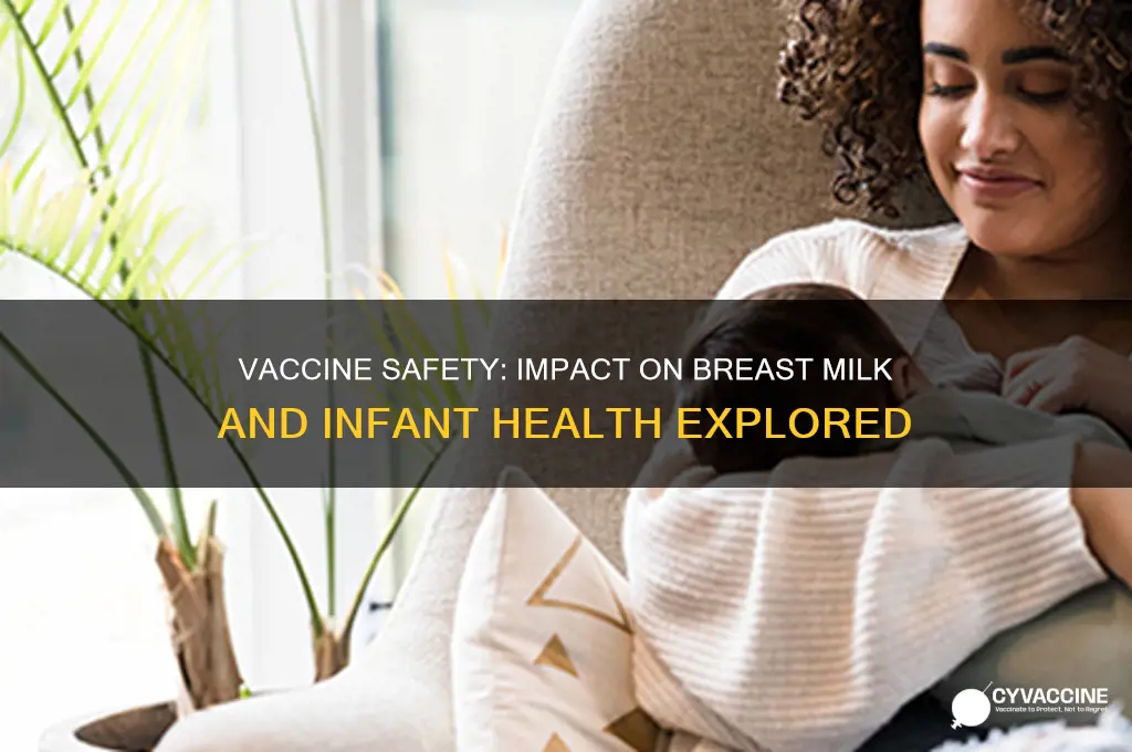 does the vaccine affect breast milk