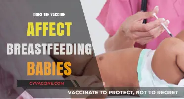 Vaccines and Breastfeeding: What Parents Need to Know