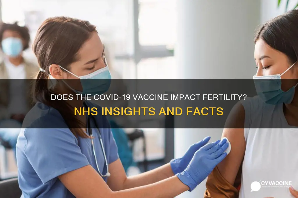 does the vaccine affect fertility nhs