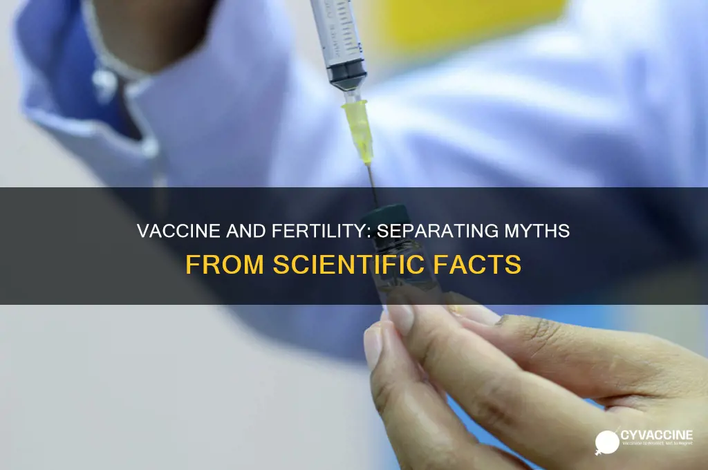 does the vaccine affect fertility rate