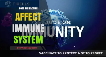 Vaccines and Immunity: Debunking Myths About Immune System Impact