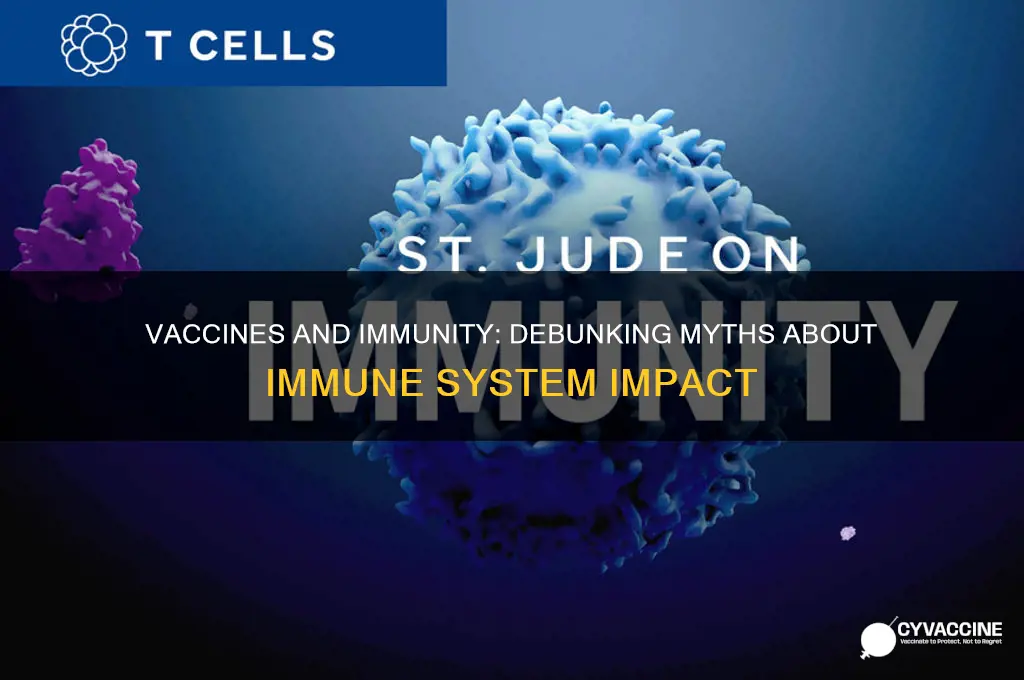 does the vaccine affect immune system