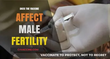 Vaccine and Male Fertility: Separating Facts from Fiction