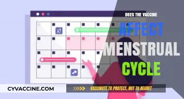 Vaccine and Menstrual Cycles: Unraveling the Connection and Impact