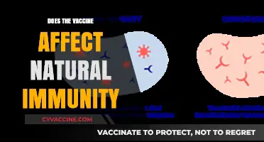 Vaccines vs. Natural Immunity: Understanding Their Impact on Long-Term Protection