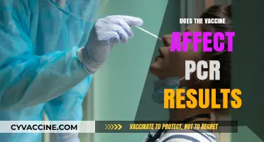 Vaccine Impact on PCR Results: What You Need to Know