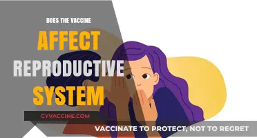 Vaccines and Fertility: Debunking Myths About Reproductive Health Impacts