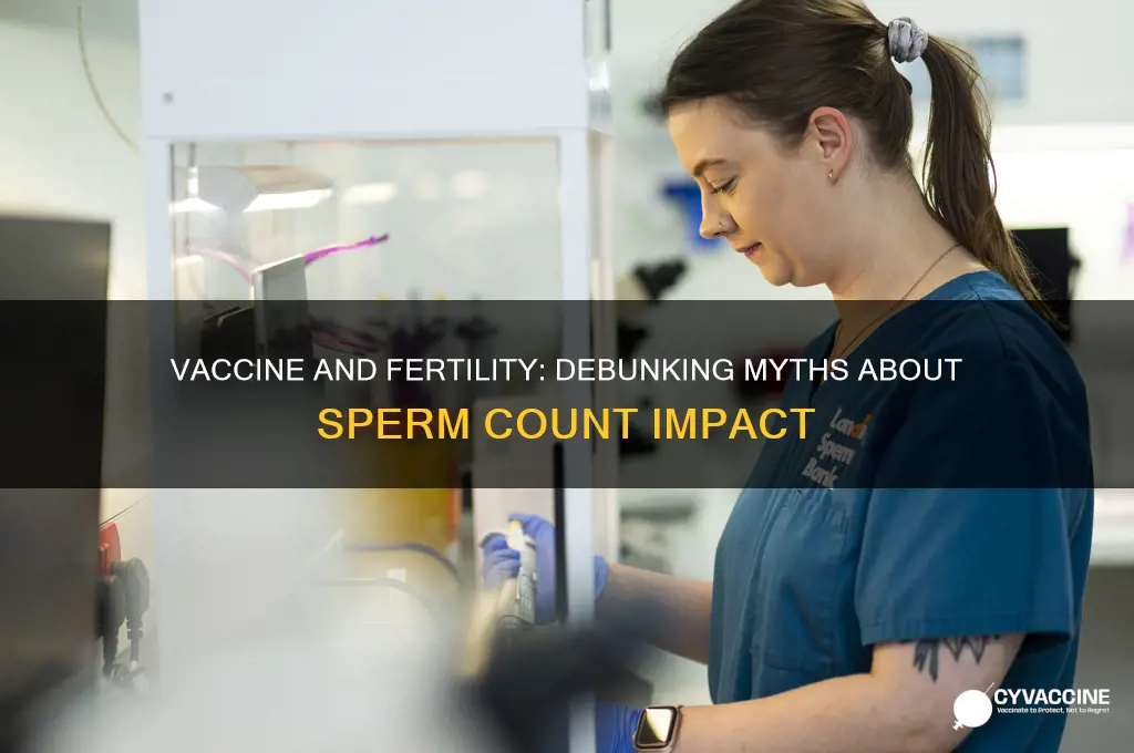 does the vaccine affect sperm count
