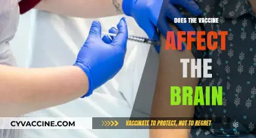 Vaccines and Brain Health: Separating Fact from Fiction