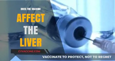 Vaccine and Liver Health: Separating Fact from Fiction
