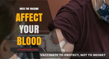 Vaccines and Blood Health: Separating Fact from Fiction