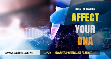 Vaccines and DNA: Separating Fact from Fiction in Genetic Impact