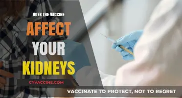Vaccine and Kidney Health: Separating Facts from Fiction