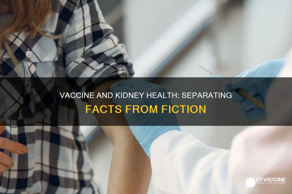 does the vaccine affect your kidneys