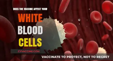 Vaccines and White Blood Cells: What's the Link?