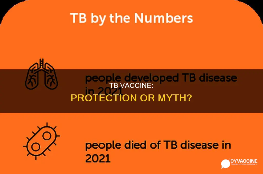 does the vaccine against tb stops you from being contaminated