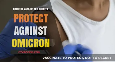 Vaccine and Booster Efficacy Against Omicron