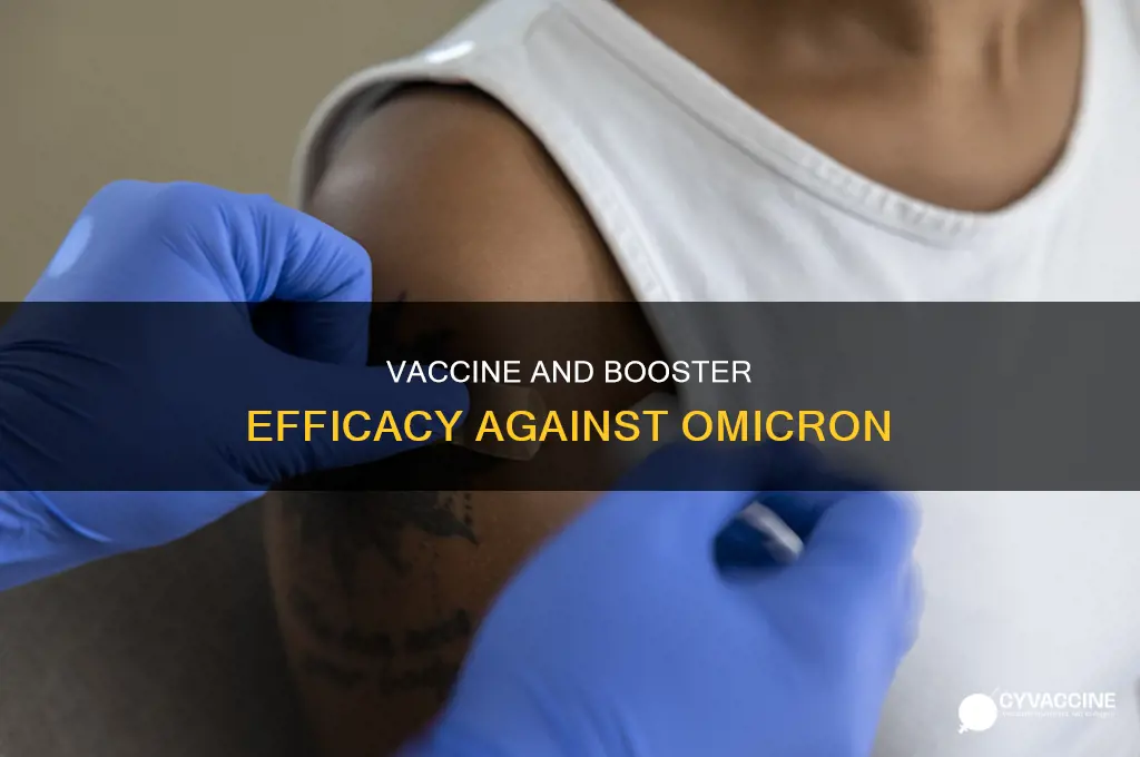 does the vaccine and booster protect against omicron