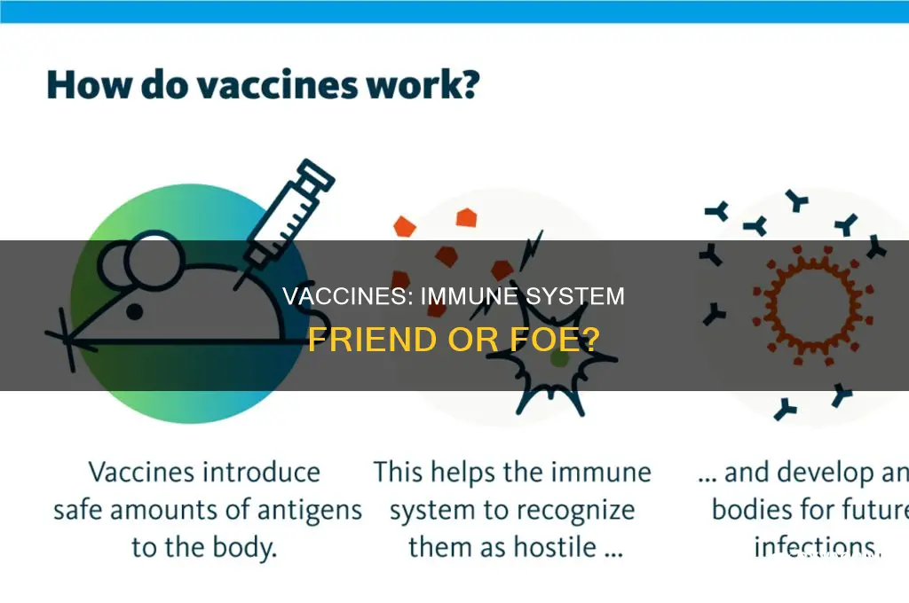 does the vaccine break down your immune system