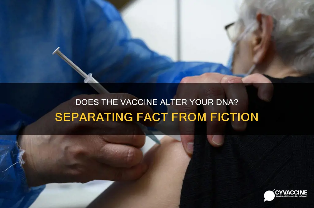 does the vaccine change yiur dna