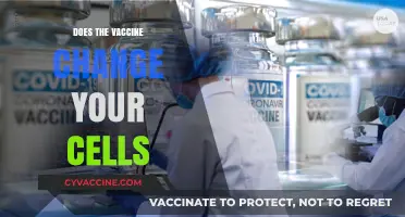 Vaccines and Cellular Impact: Unraveling the Science Behind the Changes