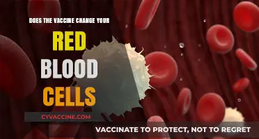 Vaccine Impact: Altering Red Blood Cells?