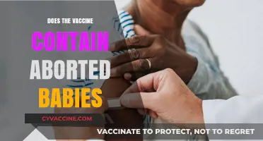 Vaccines and Abortion Myths: Separating Fact from Fiction